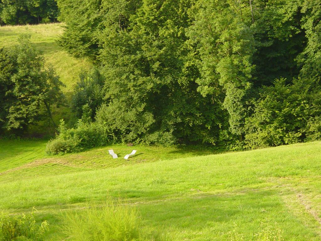 Bed and Breakfast La Parenthese Saint-Genix-sur-Guiers Экстерьер фото